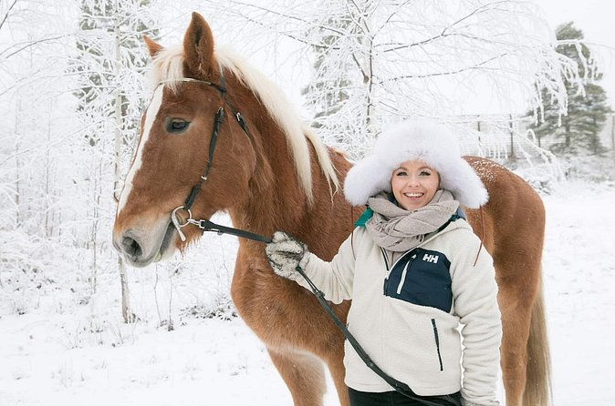 Tour to Aurora Horses Farm with Charming Finnhorses - Price and what the 30 minutes are worth