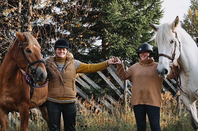 Tour to Aurora Horses Farm with Charming Finnhorses - Weather, timing, and cancellation