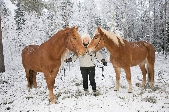 Tour to Aurora Horses Farm with Charming Finnhorses - The short lead-rein ride