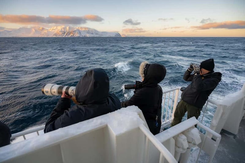 Tromsø: 24hr Northern Lights & Whale Watching Cruise - Boarding at Tromsø Harbour at 19:00