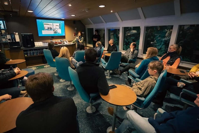 Tromsø: 24hr Northern Lights & Whale Watching Cruise - Four hours with humpbacks, orcas, and sea eagles