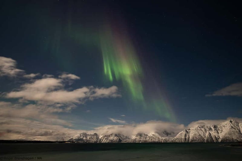 Tromsø: 24hr Northern Lights & Whale Watching Cruise - Dinner in Grøtsundet, then a dark Arctic sea