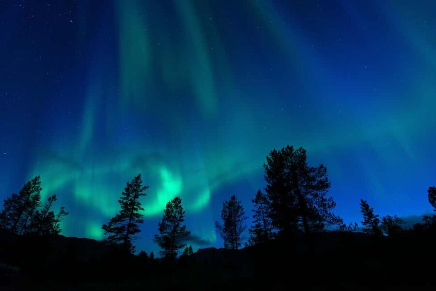 Tromsø: A Sámi Survival Story and Aurora Hunt - Meeting Mario outside the Radisson Blu