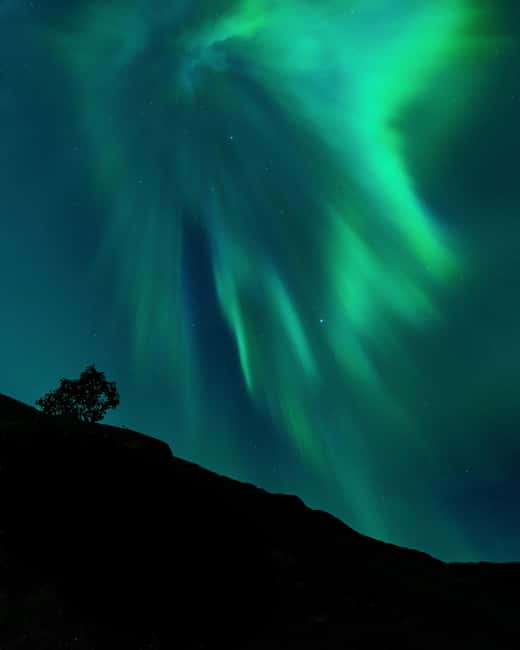 Tromsø: A Sámi Survival Story and Aurora Hunt - Sámi survival, resistance, and Northern Lights legends