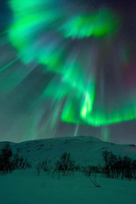 Tromsø: A Sámi Survival Story and Aurora Hunt - Practical advice before you leave Tromsø