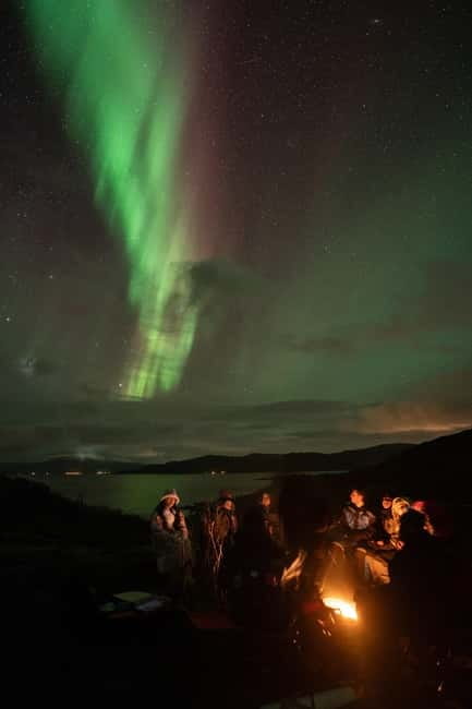 Tromsø: Adult Only Aurora hunt with Citizen Science - Key points at a glance