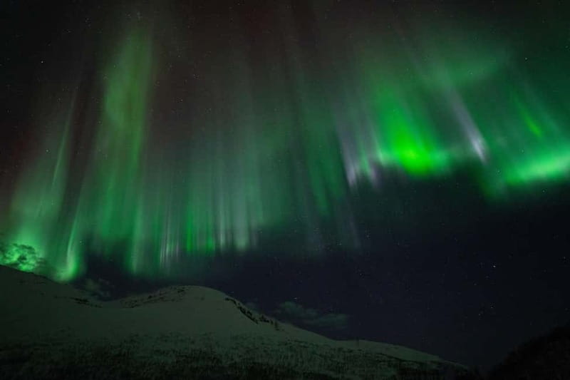Tromsø: Adult Only Aurora hunt with Citizen Science - What the return trip is really like