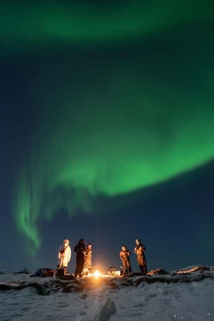 Tromsø: Adult Only Aurora hunt with Citizen Science - Who should book this outing?