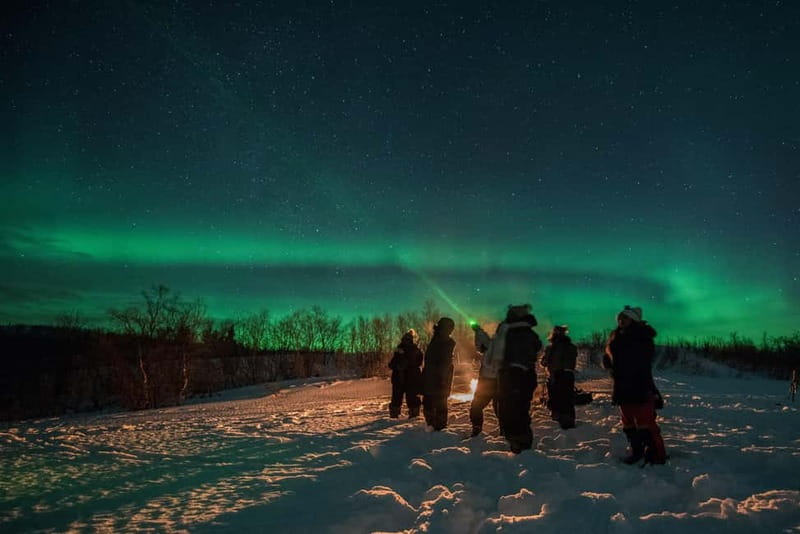 Tromsø: Adult Only Aurora hunt with Citizen Science - Why the group size matters at night