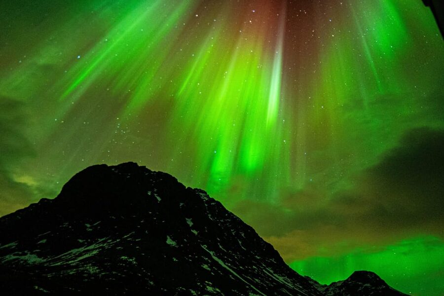 Tromsø Adventurous Northern Lights Small-Group - Is $131 a fair price?