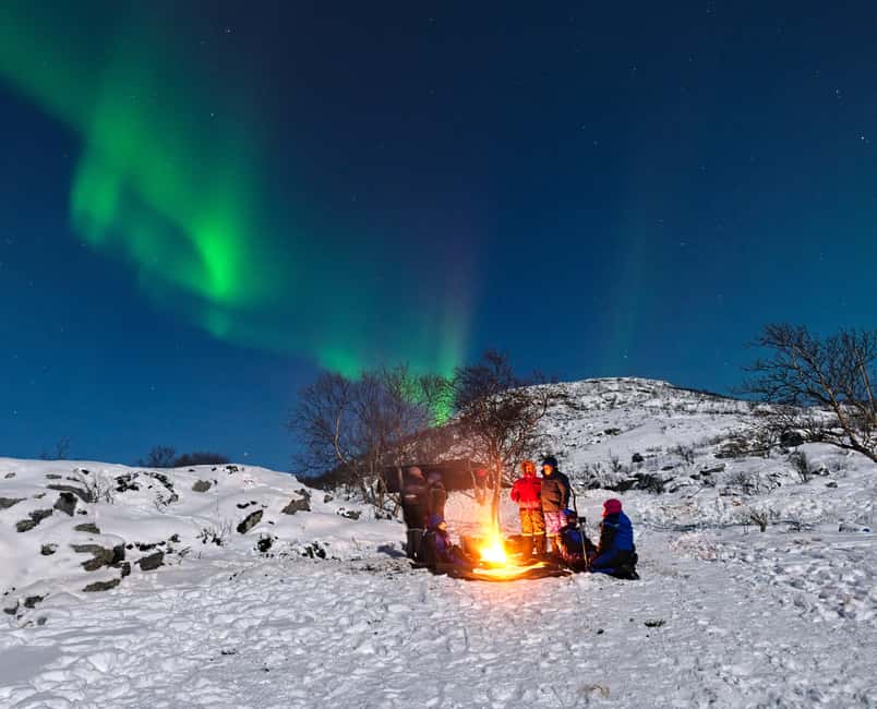 Tromsø: All-Inclusive Northern Lights Hunt - Key points to know before you book