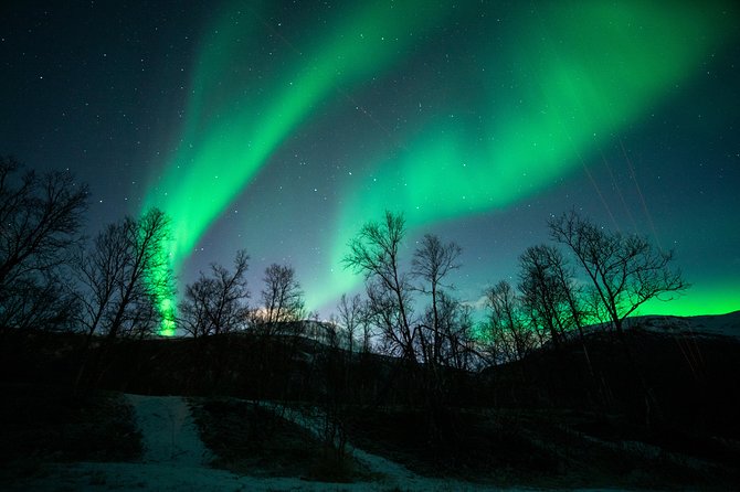 Tromso Aurora Chase by Minibus with Thermal Suit, Snack and Photo - Thermal suits, fires, and the waiting game