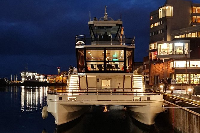 Tromso Aurora Cruise with 3-Course Dinner - The outdoor deck is where the magic happens