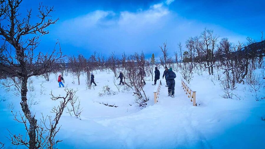 Tromsø: Aurora Crystal Lavvo Experience with Snowshoeing - Should you book the Aurora Crystal Lavvo Experience?