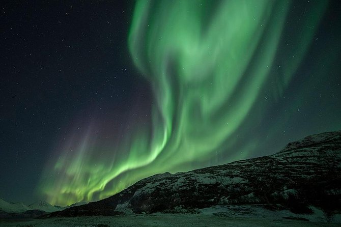 Tromso Aurora Hunt with Bonfire, Soup, Winter Gear & Transfers - What the guides add to the night