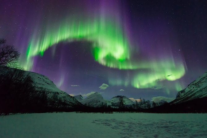 Tromso Aurora Hunt with Bonfire, Soup, Winter Gear & Transfers - Is $226.72 good value?
