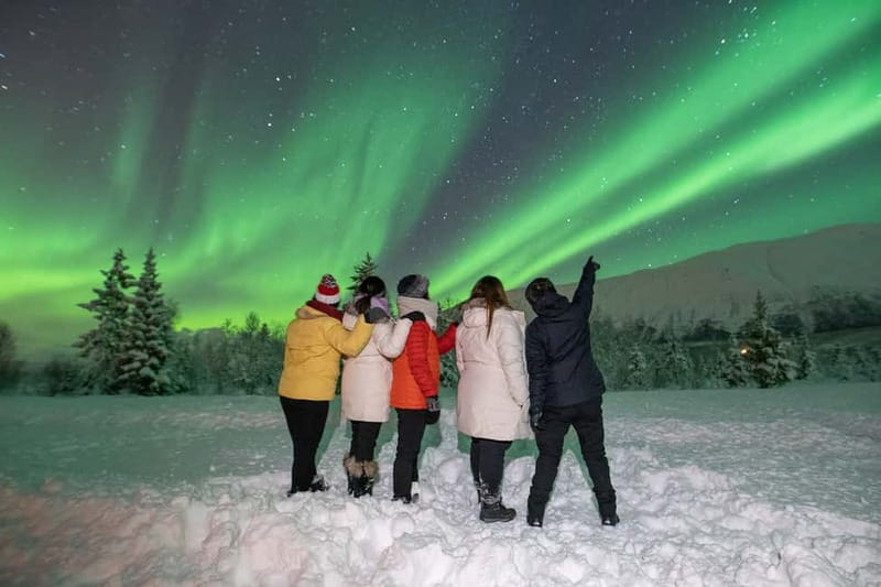Tromsø: Aurora Safari Chase with Photos - The drive through Troms County