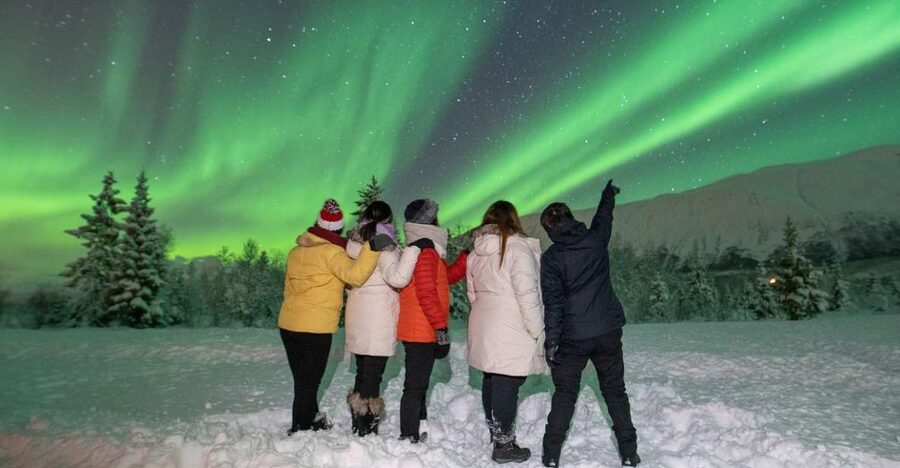Tromsø: Aurora Safari Chase with Photos - Is $124 a fair price?