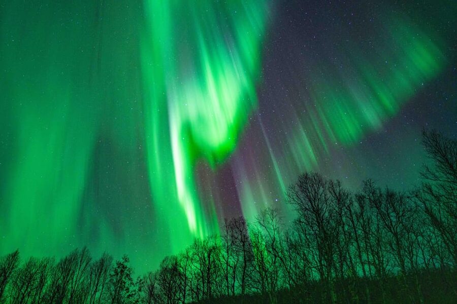 Tromsø: Aurora Tour with Photos, Campfire and Arctic Food - Timing, cancellations, and who should book