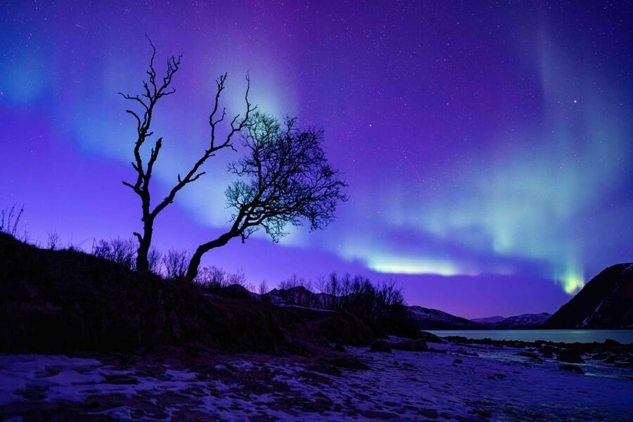 Tromsø: Aurora Tour with Photos, Campfire and Arctic Food - Is $304 good value for seven hours?