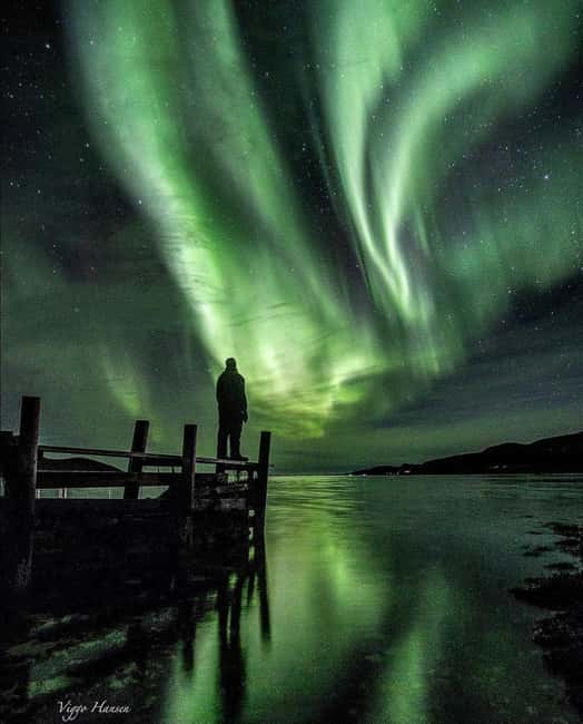 Tromsø: Big Bus Northern Lights Tour with Free Photos - Campfire, cocoa, and a sensible break from the cold