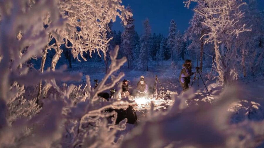 Tromsø: Big Bus Northern Lights Tour with Free Photos - Who should book this experience?