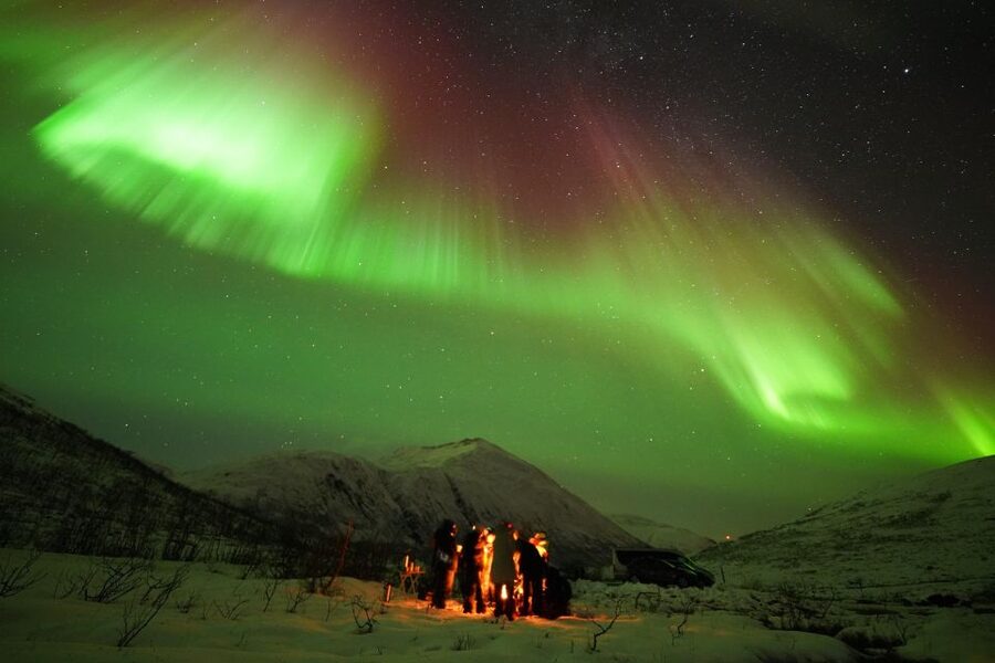 Tromsø: Chase Aurora in Minibus and Free Aurora Portrait - Key points before you book