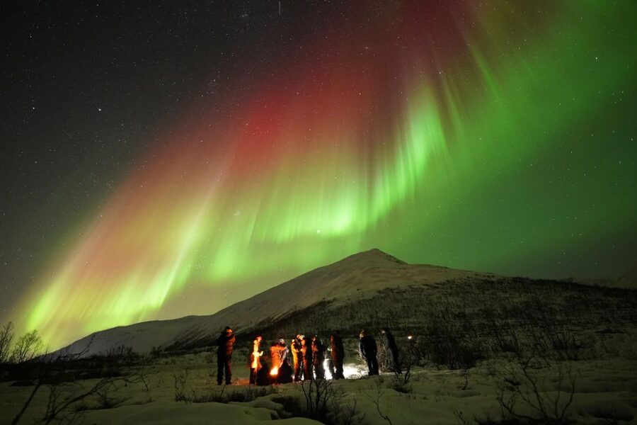 Tromsø: Chase Aurora in Minibus and Free Aurora Portrait - A mobile search for clear Arctic skies