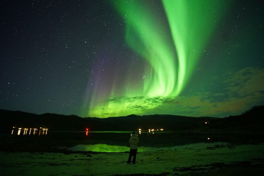 Tromsø: Chase Aurora in Minibus and Free Aurora Portrait - Seeing the aurora with your own eyes