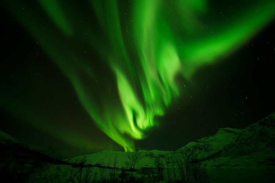 Tromsø: Chase Aurora in Minibus and Free Aurora Portrait - Free portraits and help with your camera