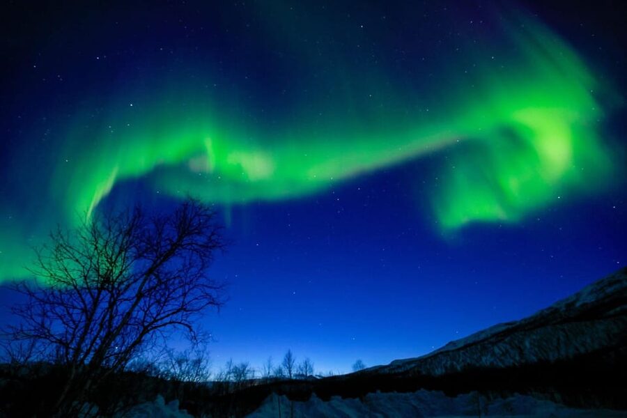 Tromsø Chinese Aurora Tour - Key points to know before booking