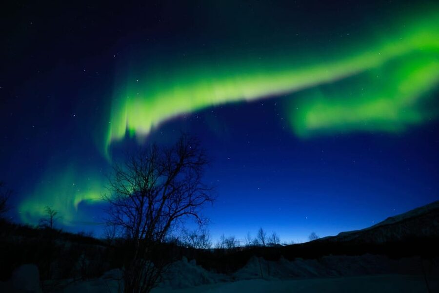 Tromsø Chinese Aurora Tour - The guide’s role is more important than the van