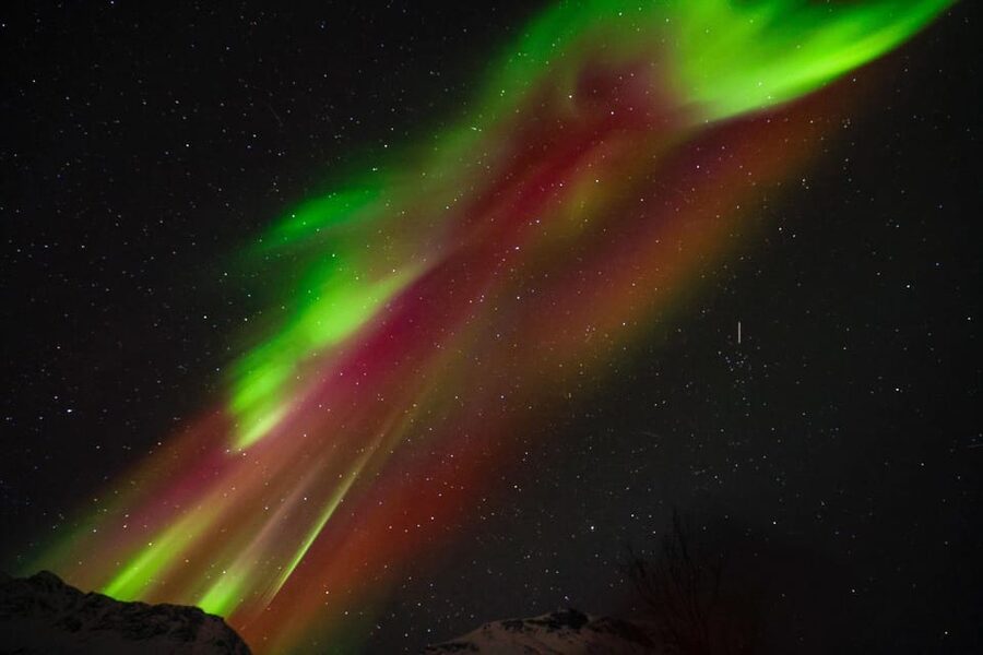 Tromsø Chinese Aurora Tour - Price and value at $167
