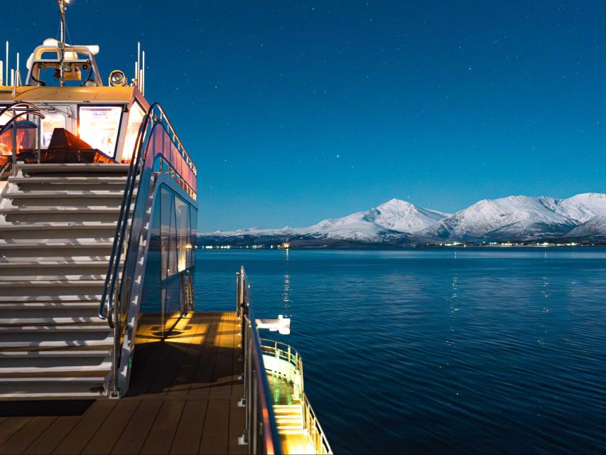 Tromsø: Electric Northern Lights Cruise - Key points to know before you book