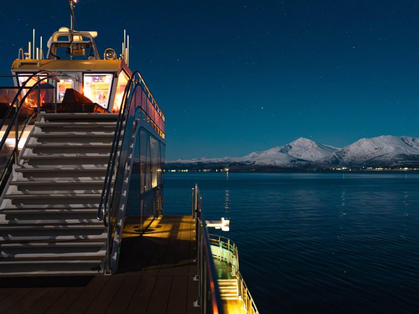 Tromsø: Electric Northern Lights Cruise - Practical details that make the evening easier