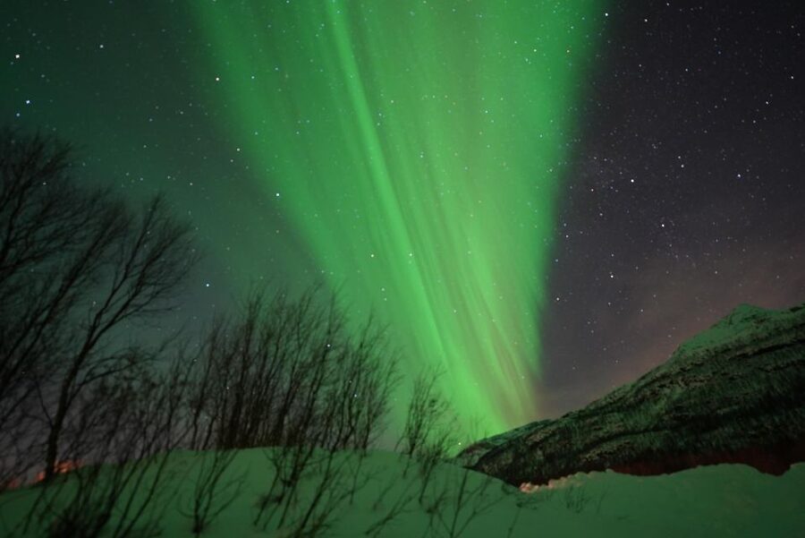 Tromsø: English/Spanish Aurora Pathfinder Tour with Photos - Starting beside Scandic Ishavshotel