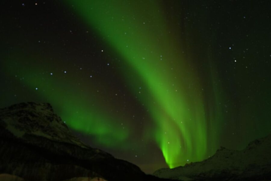 Tromsø: English/Spanish Aurora Pathfinder Tour with Photos - Roberto’s guiding style