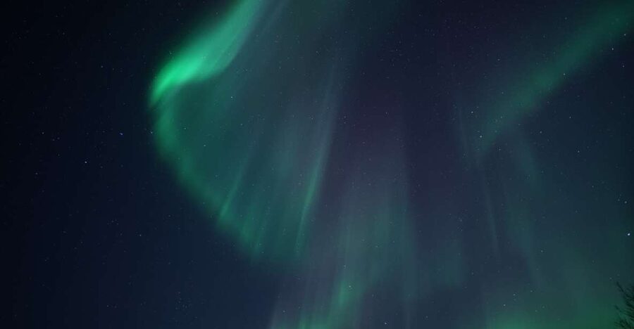 Tromsø: Evening Aurora Cruise (dinner optional) - Guides Who Help You Get More From the Night