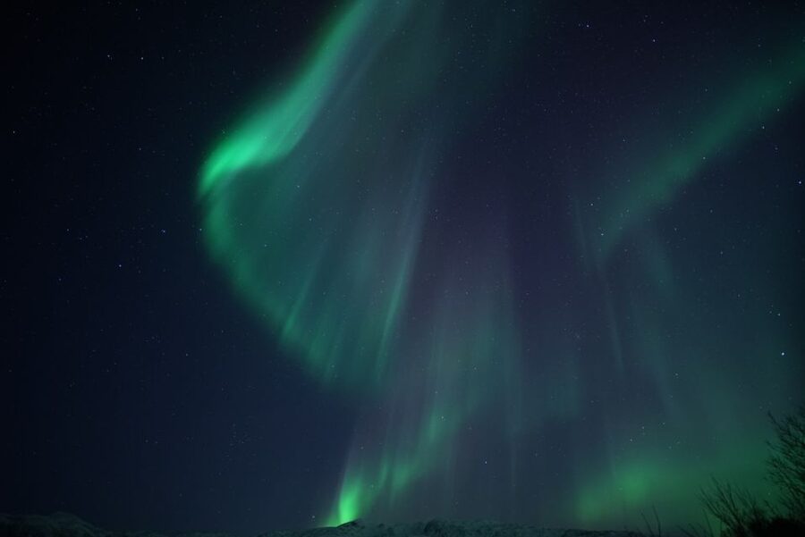 Tromsø: Evening Aurora Cruise (dinner optional) - FAQ