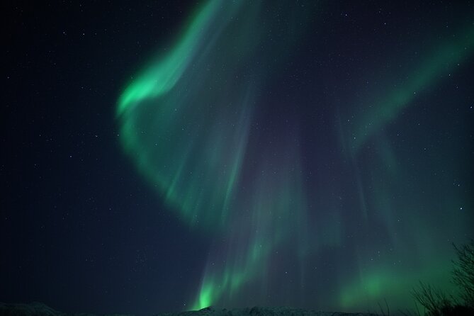 Tromsø: Evening Cruise with Northern Lights Opportunity - What the 3.5-hour route is really about
