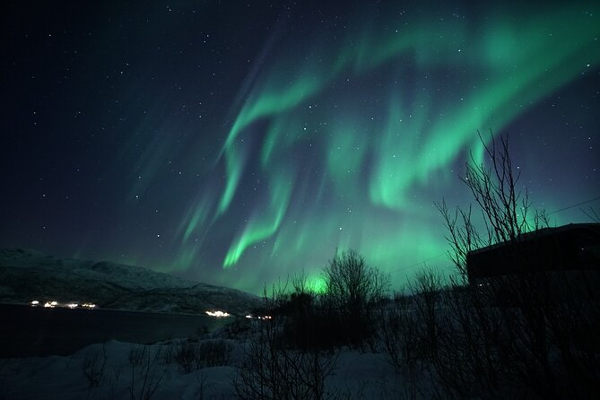 Tromsø: Evening Cruise with Northern Lights Opportunity - Comfort and safety on the boat