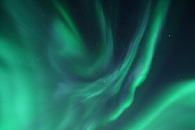 Tromsø: Evening Cruise with Northern Lights Opportunity - The crew makes the difference