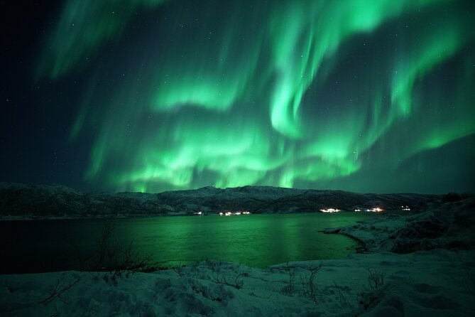 Tromsø: Evening Cruise with Northern Lights Opportunity - The Northern Lights opportunity