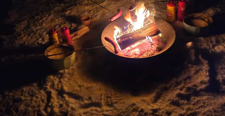 Tromsø: Expert Aurora Hunt - Thermal Gear, Food, Campfire - Who should book this aurora tour?