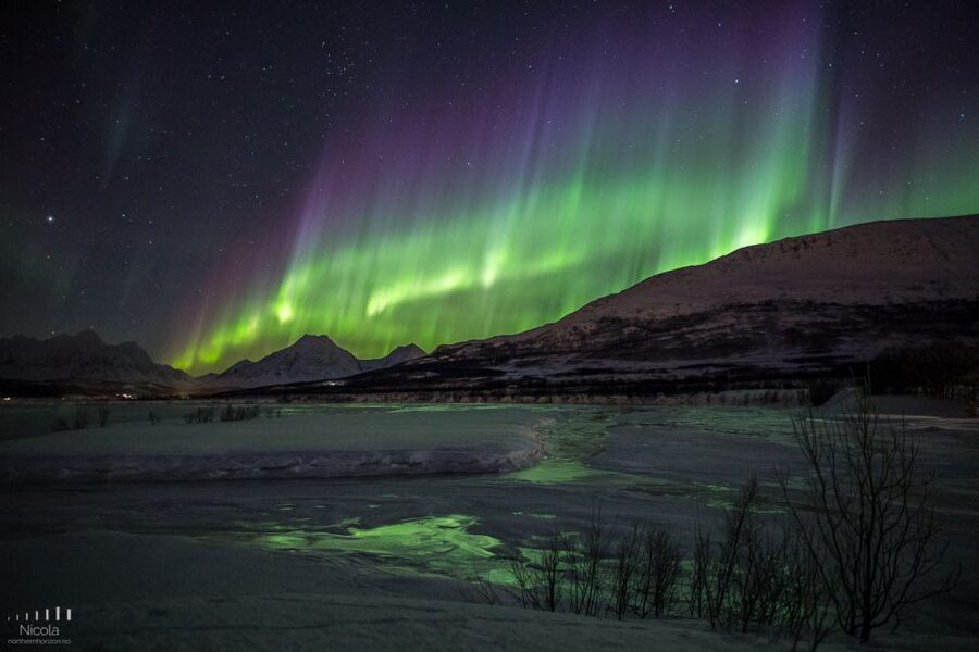 Tromsø: Expert Aurora Hunt - Thermal Gear, Food, Campfire - The campfire meal: sausages, hot drinks, and northern stories