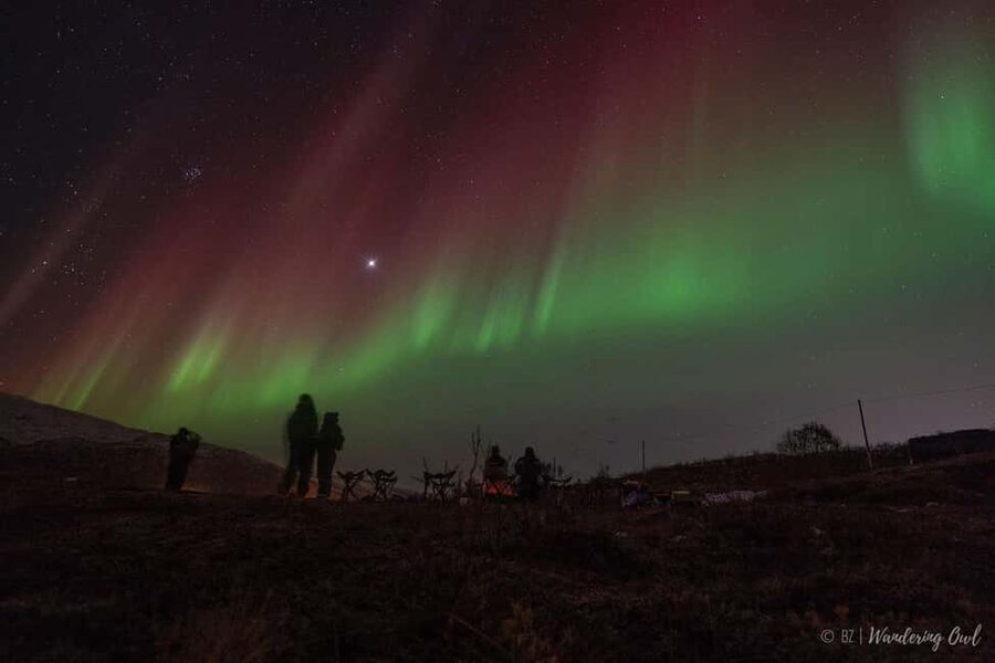 Tromsø: Express Aurora Hunt - Waiting beneath the northern sky