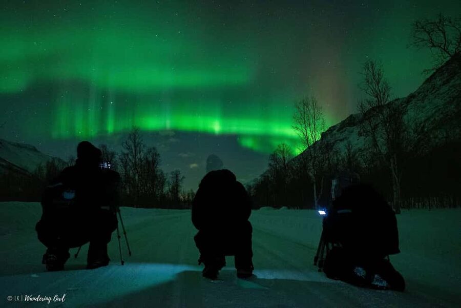 Tromsø: Express Aurora Hunt - How the guide handles a difficult night