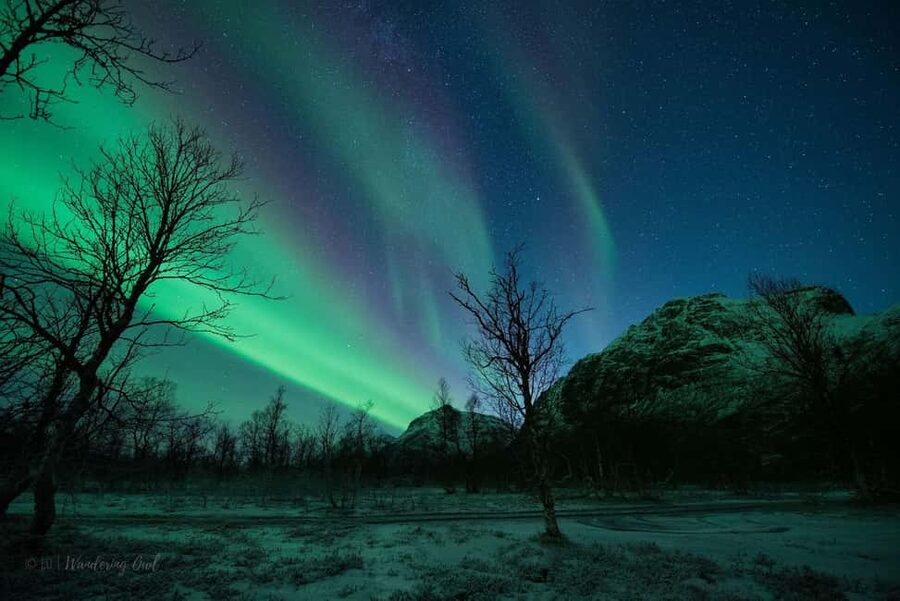 Tromsø: Express Aurora Hunt - Who should choose this express hunt