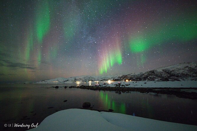 Tromsø: Express Aurora Hunt with Wandering Owl - Key points at a glance