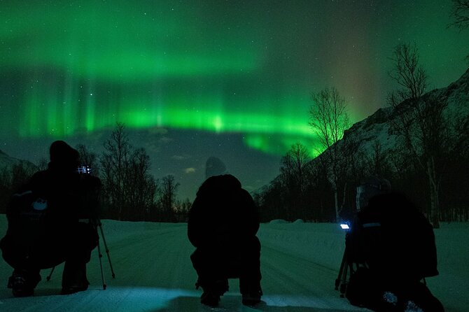 Tromsø: Express Aurora Hunt with Wandering Owl - Why the Express format makes sense in Tromsø